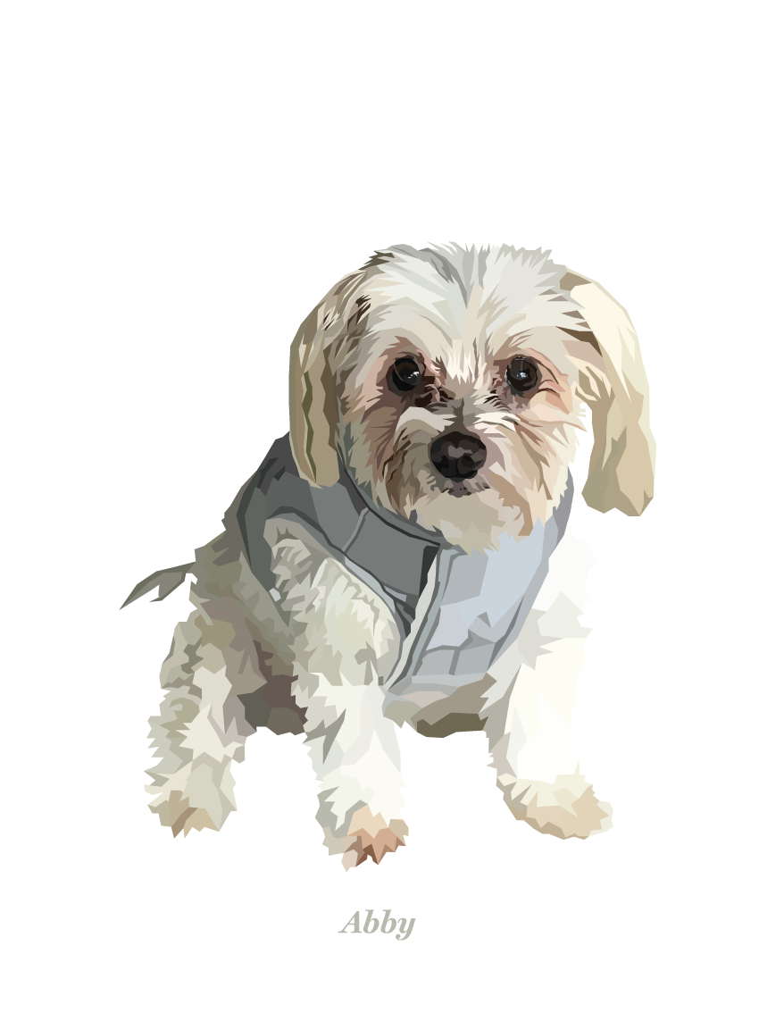 Signature Pawprint - One pet (unframed)