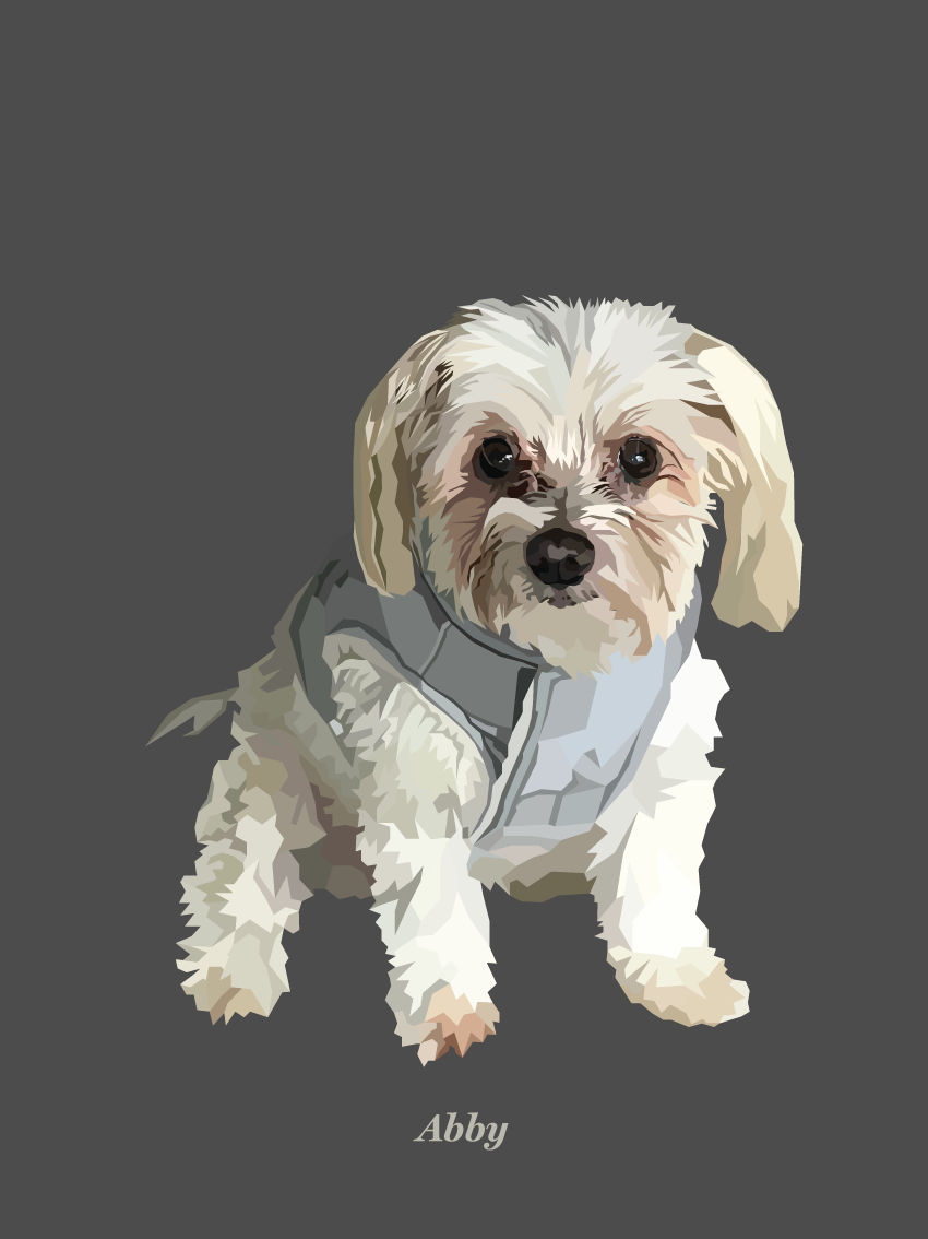Signature Pawprint - One pet (unframed)