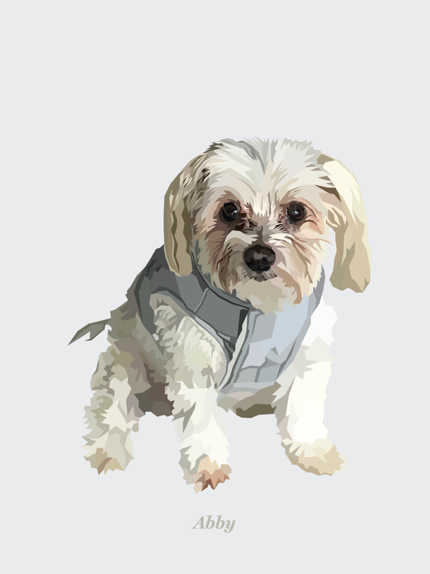 Signature Pawprint - One pet (unframed)