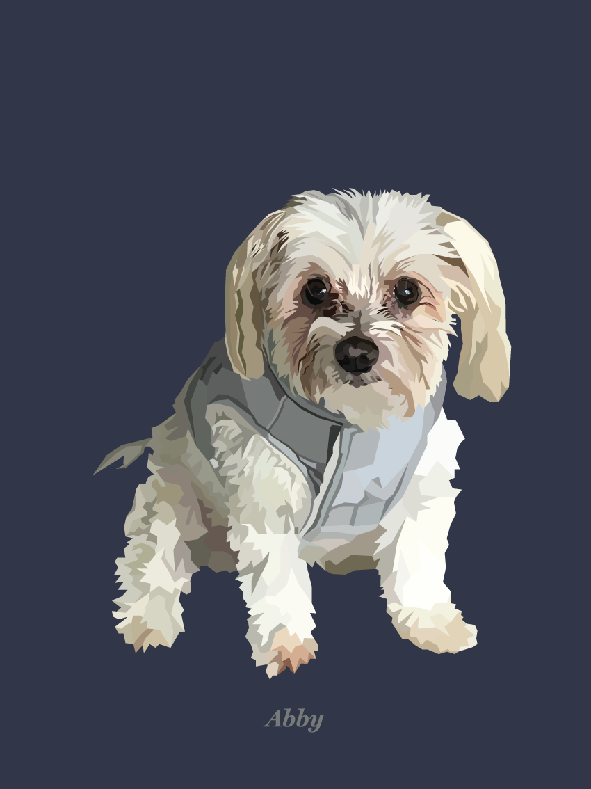 Signature Pawprint - One pet (unframed)