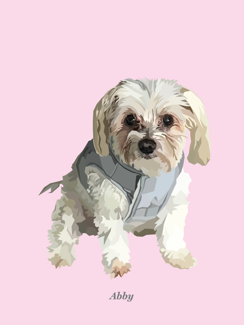 Signature Pawprint - One pet (unframed)