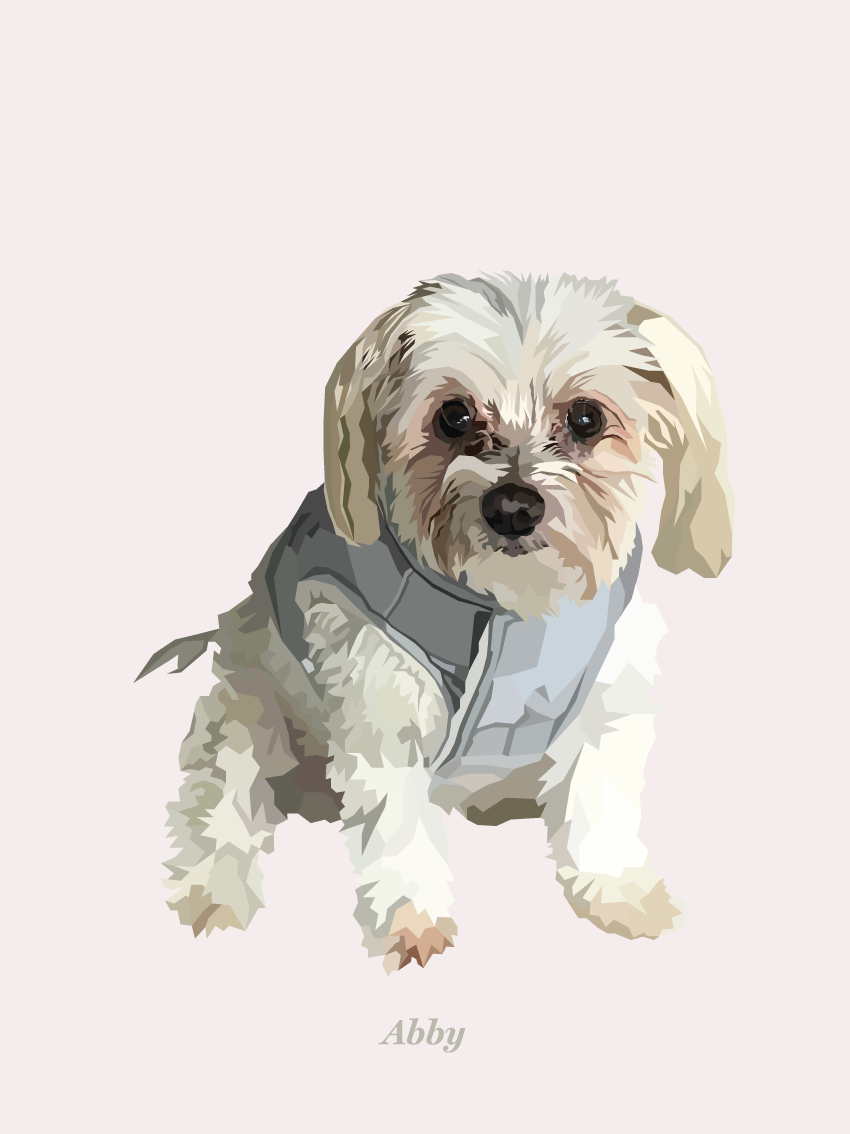 Signature Pawprint - One pet (unframed)